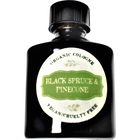 Black Spruce & Pinecone by Organic Perfume Girl