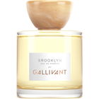 Brooklyn by Gallivant