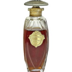 Je Te Caresse von Erasmic