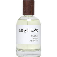 amyi 2.10 by amyi