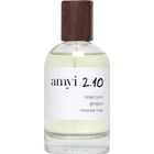 amyi 2.10 von amyi