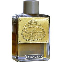 Acacia von Georg Jensen