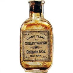Ylang Ylang von Colgate & Company