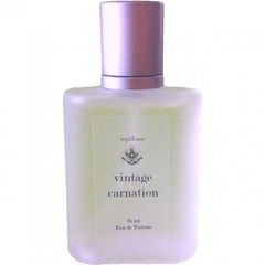 Vintage Carnation von top2base