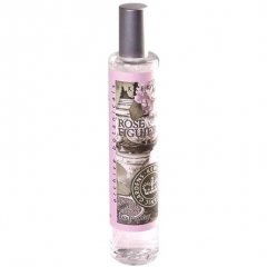 Polvora by Parfums Codibel Polvora by Parfums Codibel