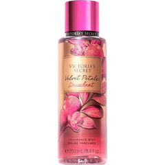 Velvet Petals Decadent von Victoria's Secret