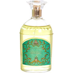 Immortelle von Cologne & Cotton