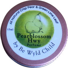 Pearblossom Hwy von Be Wyld Child