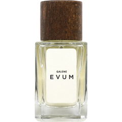 Galene by Evum