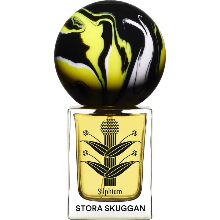 Silphium von Stora Skuggan Silphium von Stora Skuggan