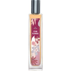 Day Dreams - Star Flower von Brocard / Брокард