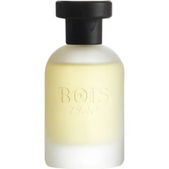 Classic Paradise von Bois 1920