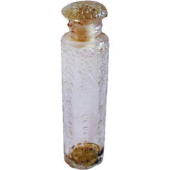Ambre von Forvil