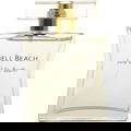 Shell Beach von July of St. Barth