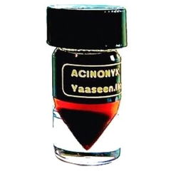 Acinonyx von Yaaseen