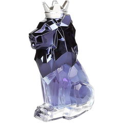 Xerxus Midnight von Jean-Pierre Sand