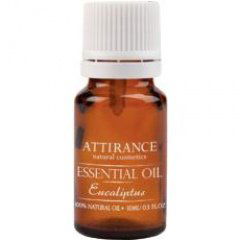 Essential Oil - Eucalyptus von Attirance