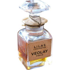 Lilas Concentré von Violet / Veolay