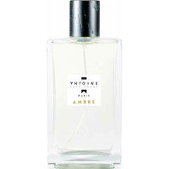 Antoine Ambre by Antoine Parfums