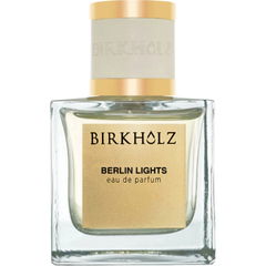 Berlin Lights von Birkholz