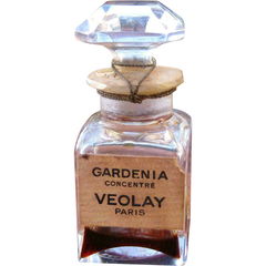 Gardenia Concentré von Violet / Veolay