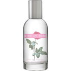 Kiss My Rose von Steve Madden