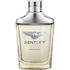 Bentley Infinite - Bentley