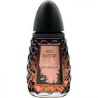 Oud Absolute by Pino Silvestre