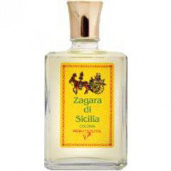 Zagara di Sicilia von Zuma