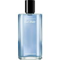 Cool Water Grapefruit & Sage von Davidoff