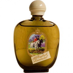 Alt Englisch Lavendel von Cardy