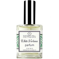 White Verbena von Tucker Hill