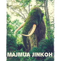 Majmua Jinkoh by Yaaseen