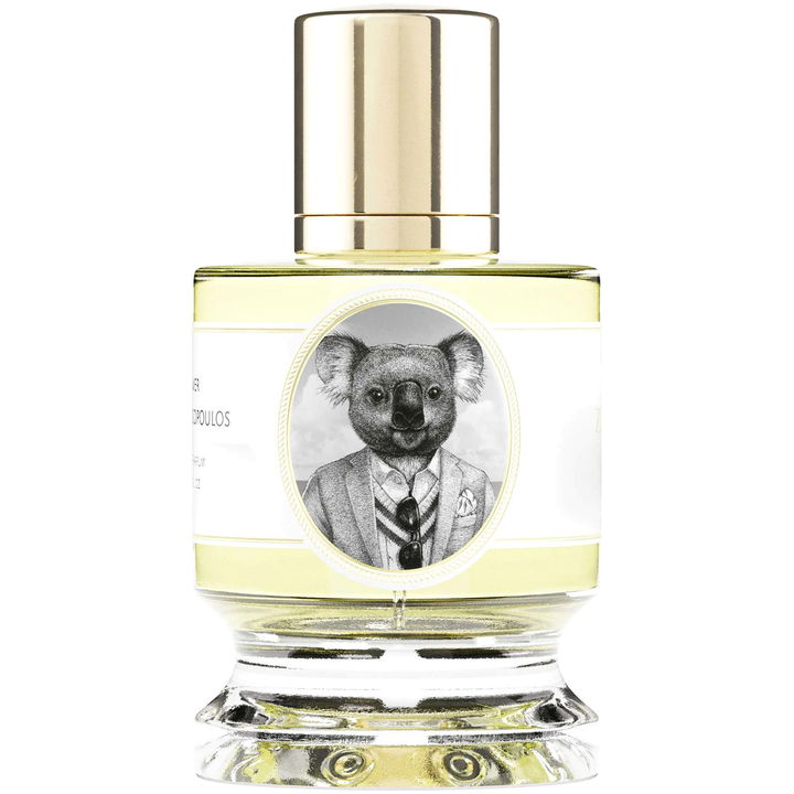 Koala von Zoologist