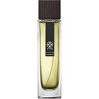 Kusunoki (Eau de Parfum) / クスノキ by Kitowa