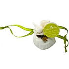 Garden of Ireland - Heather & Moss von Fragrances of Ireland