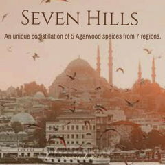 Seven Hills von mesOud