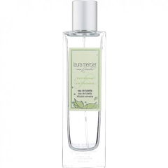 Verbena Infusion by Laura Mercier