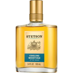 Cooling Moisture (After Shave) von Stetson