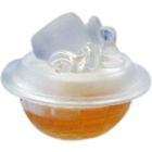 Aquarius by Fortune Duck