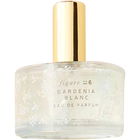 Anatomy of a Fragrance - Gardenia Blanc von Illume