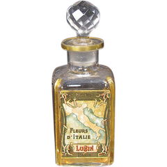 Fleurs d'Italie von Lubin