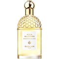 Aqua Allegoria Bergamote Calabria by Guerlain