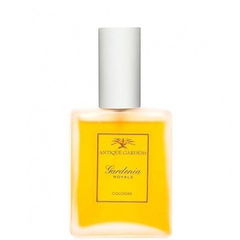 Antique Garden - Gardenia Royale by California Fleurish