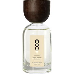 Esprit Vétiver by Nout