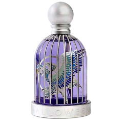 The Finest Everyday by The Fragrance Kitchen