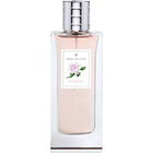 Camélia von Tania Bulhões