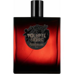 Volupté Noire by Pierre Guillaume