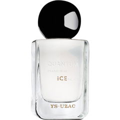 Quantum Charge In An Ice Palace by YS Uzac