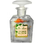Genuine Orange Blossom by Or-Blos